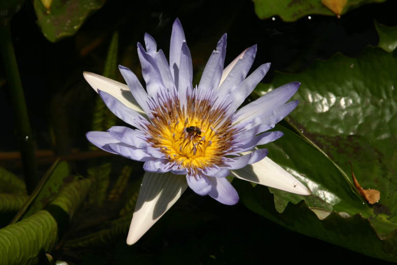 img_1959.jpg